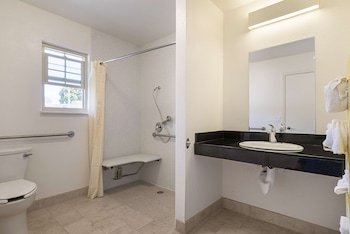 Standard Room, 1 King Bed, Accessible, Non Smoking