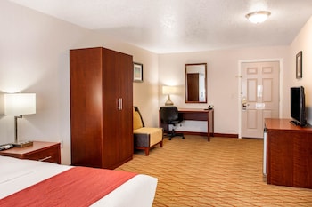Room, 1 King Bed, Accessible, Non Smoking (Roll in Shower)