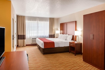Room, 1 King Bed, Accessible, Non Smoking (Roll in Shower)