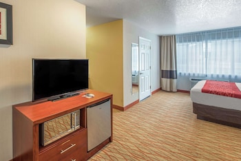 Room, 1 King Bed, Accessible, Non Smoking (Roll in Shower)