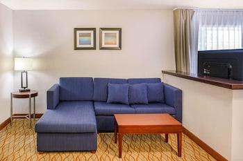 Suite, 1 King Bed, Non Smoking