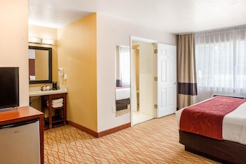 Room, 1 King Bed, Accessible, Non Smoking (Roll in Shower)