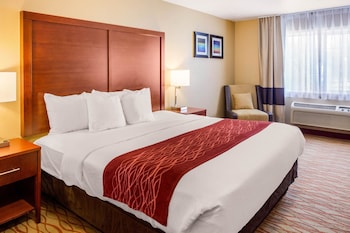 Standard Room, 1 King Bed, Non Smoking