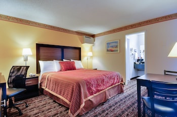 Single Room, 1 King Bed, Accessible