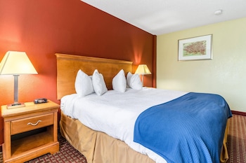 Standard Room, 1 King Bed, Non Smoking