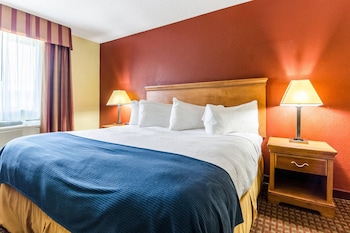 Standard Room, 1 King Bed, Non Smoking
