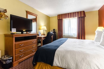 Room, 1 King Bed, Accessible, Non Smoking