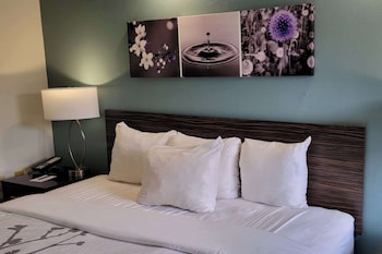 Standard Room, 1 King Bed, Non Smoking