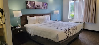 Standard Room, 1 King Bed, Non Smoking