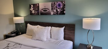 Standard Room, 1 King Bed, Non Smoking