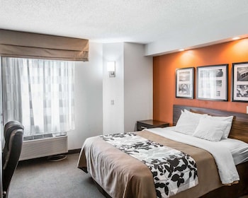 Room, 1 Queen Bed, Accessible, Non Smoking