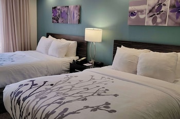 Standard Double Room, 2 Double Beds, Non Smoking
