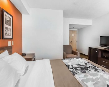Room, 1 Queen Bed, Accessible, Non Smoking