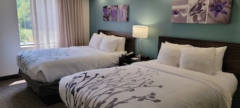 Standard Double Room, 2 Double Beds, Non Smoking