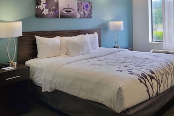 Standard Room, 1 King Bed, Non Smoking