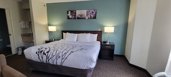 Standard Room, 1 King Bed, Non Smoking