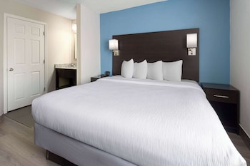 Room, 1 King Bed, Non Smoking