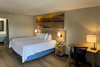 Room, 1 King Bed, Non Smoking (Pet Friendly)