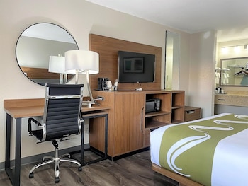 Suite, 1 King Bed, Non Smoking, Refrigerator & Microwave (with Sofabed)