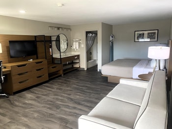 Suite, 1 King Bed, Non Smoking, Refrigerator & Microwave (with Sofabed)