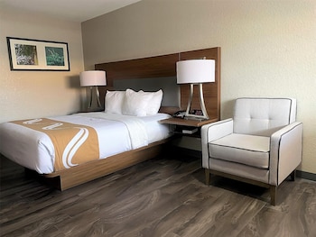Standard Room, 1 Queen Bed, Non Smoking, Refrigerator & Microwave