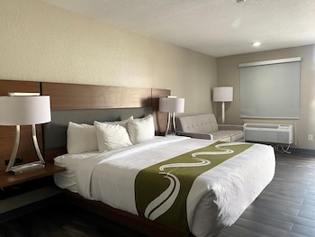 Suite, 1 King Bed, Non Smoking, Refrigerator & Microwave (with Sofabed)