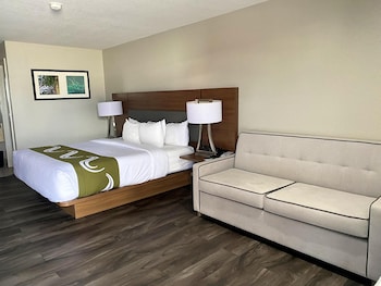Standard Room, 1 King Bed, Non Smoking, Refrigerator & Microwave (with Sofabed)