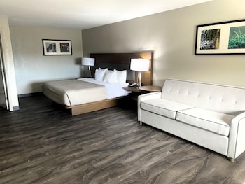 Suite, 1 King Bed, Non Smoking, Refrigerator & Microwave (with Sofabed)