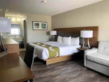 Suite, 1 King Bed, Non Smoking, Refrigerator & Microwave (with Sofabed)