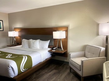 Standard Room, 1 Queen Bed, Non Smoking, Refrigerator & Microwave