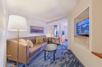 Suite, 1 King Bed with Sofa bed
