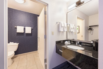 Suite, 1 King Bed with Sofa bed