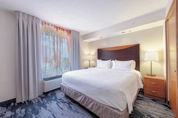 Suite, 1 King Bed with Sofa bed