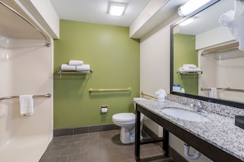 Room, 1 Queen Bed, Non Smoking/Accessible