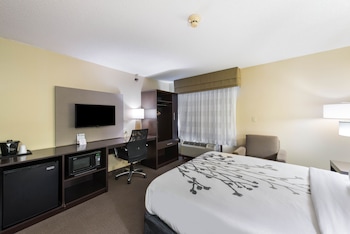 Room, 1 Queen Bed, Non Smoking/Accessible