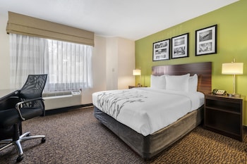 Room, 1 Queen Bed, Non Smoking/Accessible