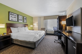 Room, 1 Queen Bed, Non Smoking/Accessible