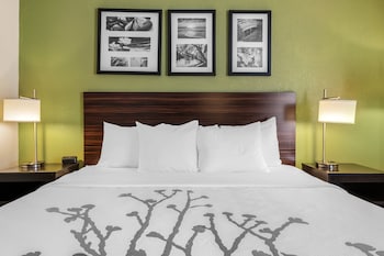 Standard Room, 1 King Bed, Non Smoking