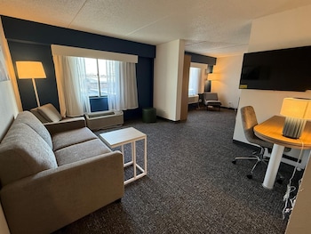 Room, 1 King Bed with Sofa bed