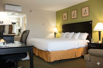 Standard Room, 1 King Bed, Ground Floor