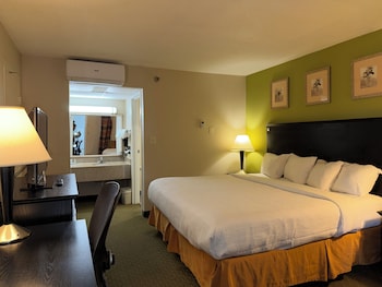 Standard Room, 1 King Bed, Ground Floor