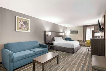 Standard Room, 1 King Bed, Non Smoking, Refrigerator & Microwave