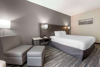 Standard Room, 1 King Bed, Non Smoking
