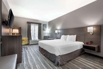 Standard Room, 1 King Bed, Non Smoking
