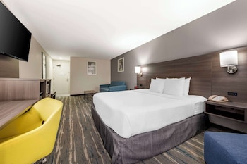 Standard Room, 1 King Bed, Non Smoking, Refrigerator & Microwave