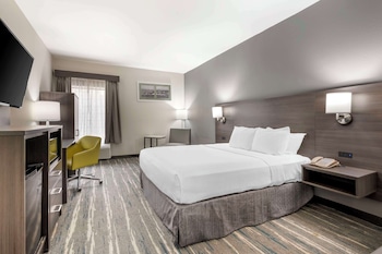 Standard Room, 1 Queen Bed, Non Smoking