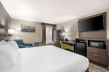 Standard Room, 1 King Bed, Non Smoking, Refrigerator & Microwave