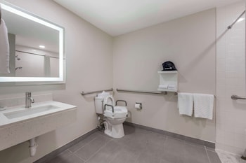 Standard Room, 1 Queen Bed, Accessible, Non Smoking (Walk-in Shower)
