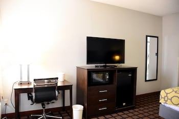 Room, 1 King Bed, Non Smoking, Jetted Tub
