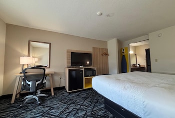 Room, 1 King Bed, Roll-in Shower, Non Smoking (Mobility/Hearing Accessible)